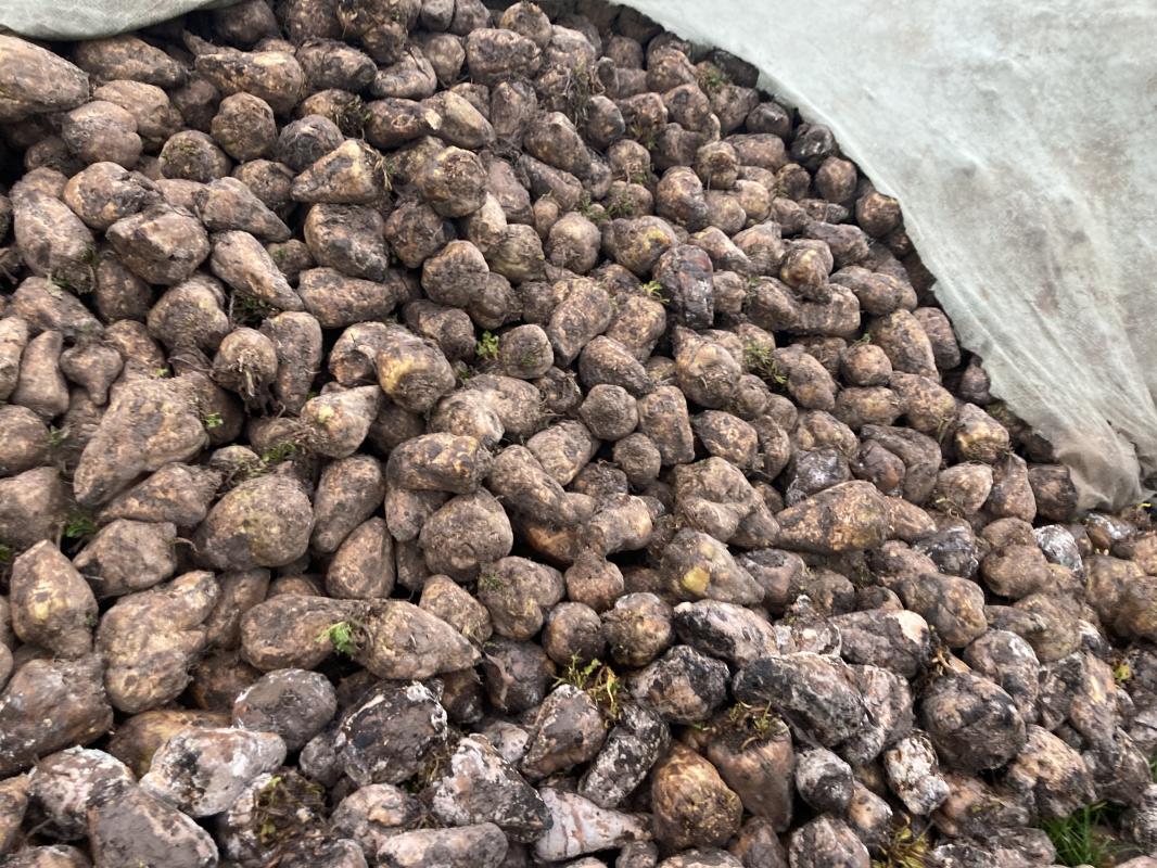 Préserver vos silos en cas de gel 